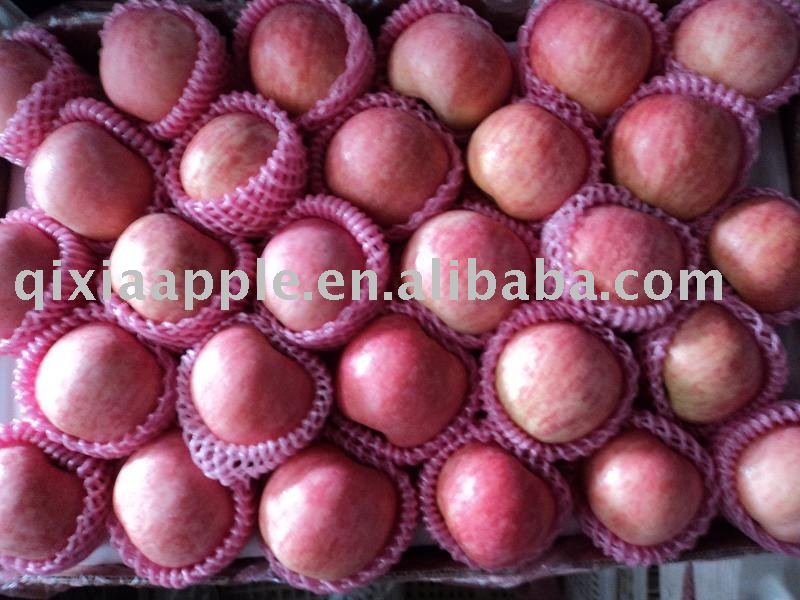 China fresh red fuji apple