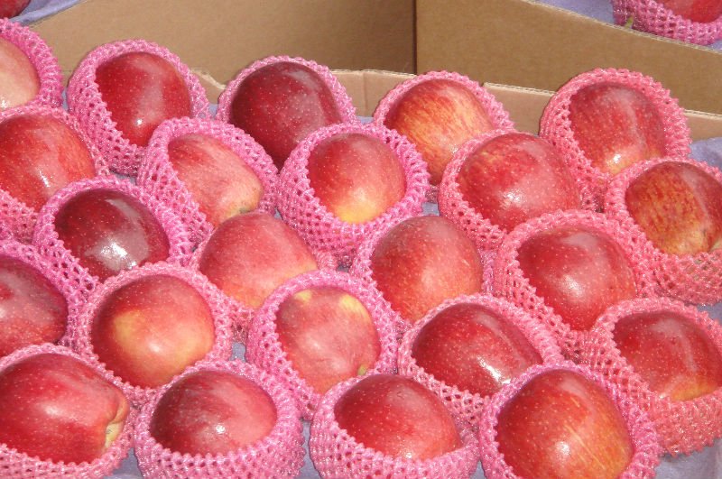 chinese jiguan apple