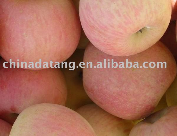 apples FRESH RED 80%UP