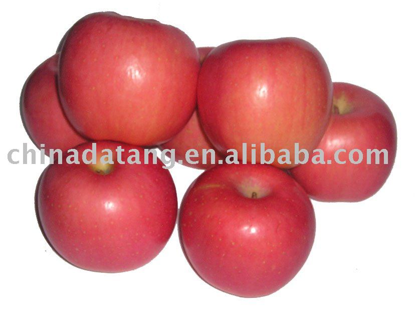 fresh fuji apples reasonable price