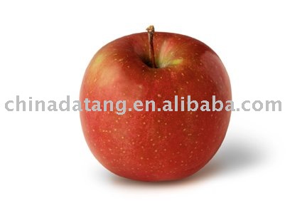 apples FRESH FRUITS 2010