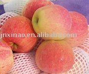fresh  20kg / ctn  Fuji  apple 