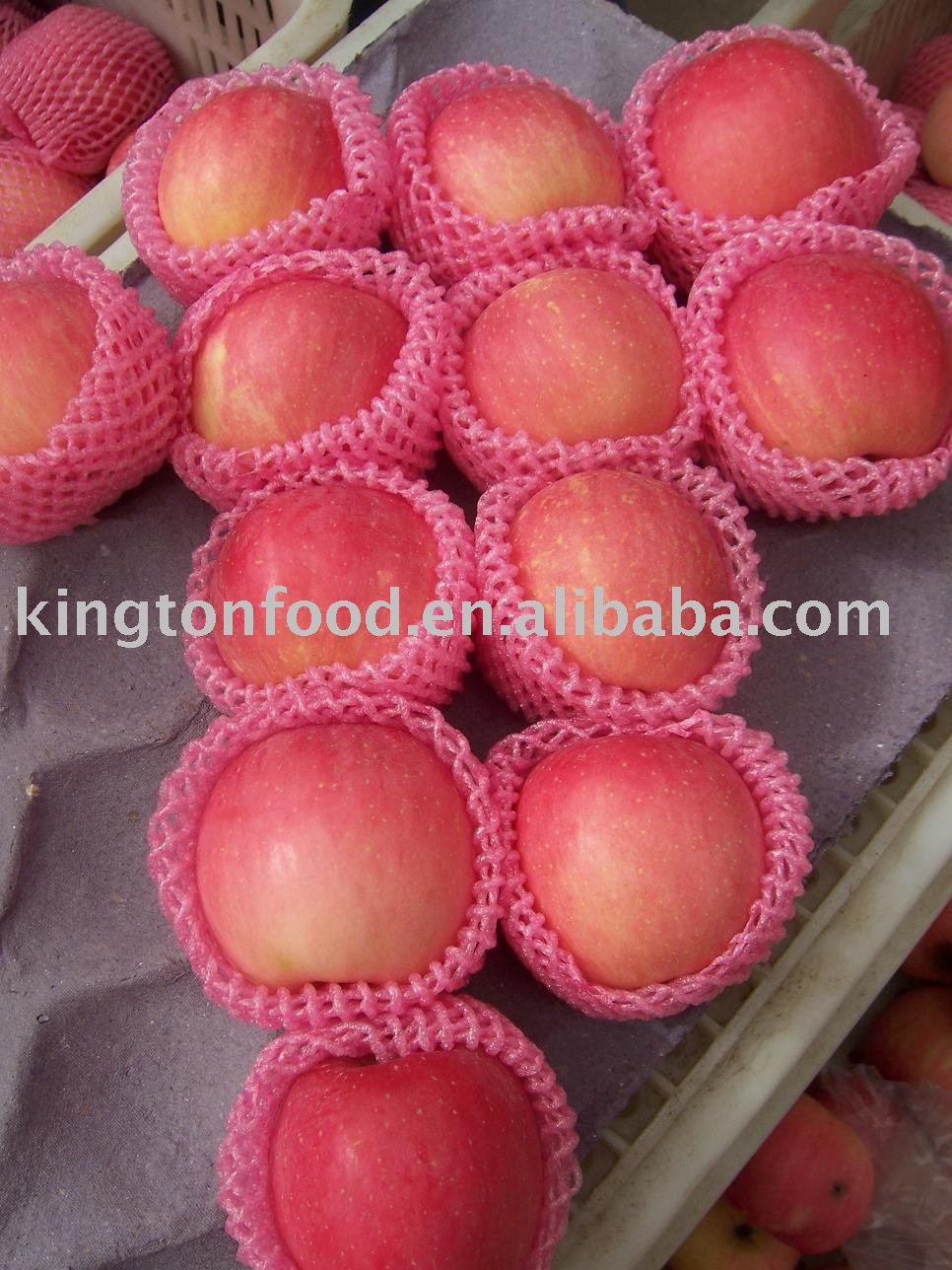 best fresh fuji apple