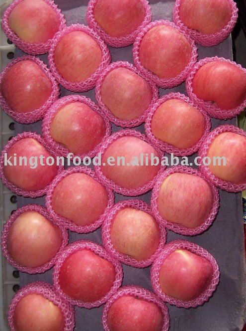 chinese fresh fuji apple