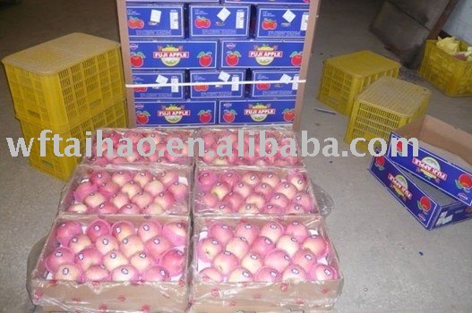 Chinese Red Fuji Apple