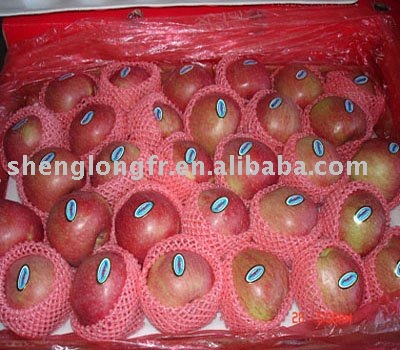 Chinese Fresh Delicious Apple---Qinguan Apple
