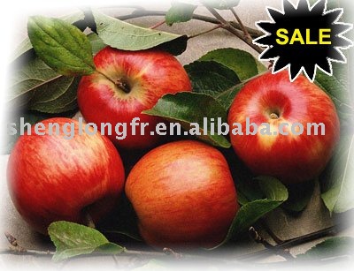 Red Delicious  Fuji Apple