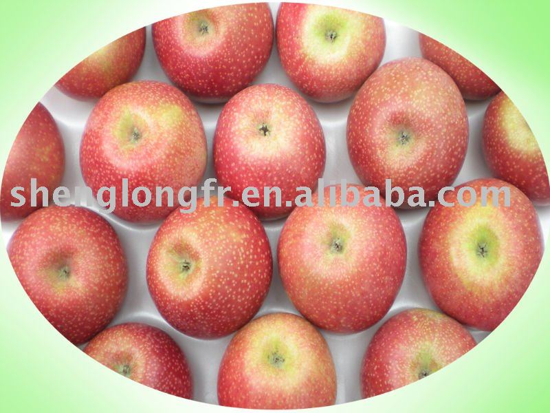 Delicious Fresh Qinguan Apple--Chinese fresh apple