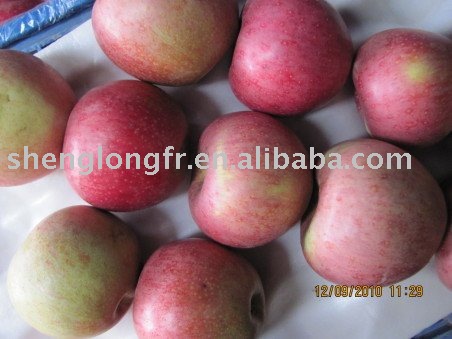  Delicious   Qinguan   Apple 
