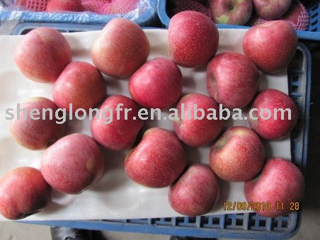Delicious Fresh Qinguan Apple