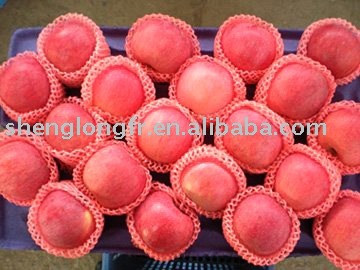 Juicy And Crispy Chinese Fuji Apple