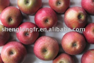 Delicious Fresh Qinguan Apple--Chinese apple