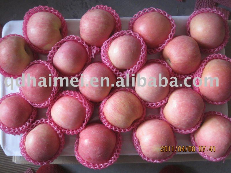 2010 Chinese Fresh Fuji Apple