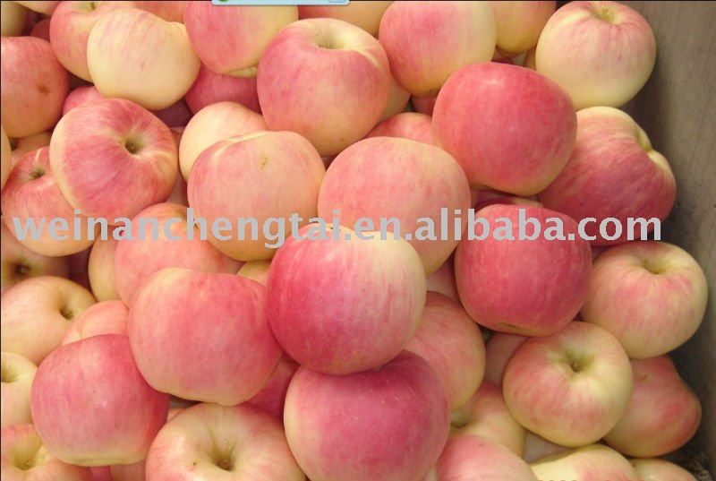 paper bag gala apple