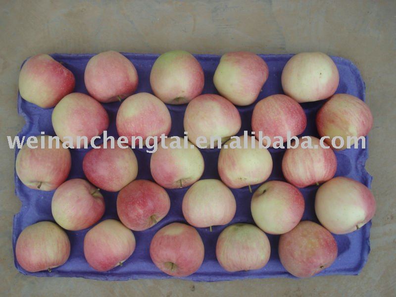 paper bag qinguan apple