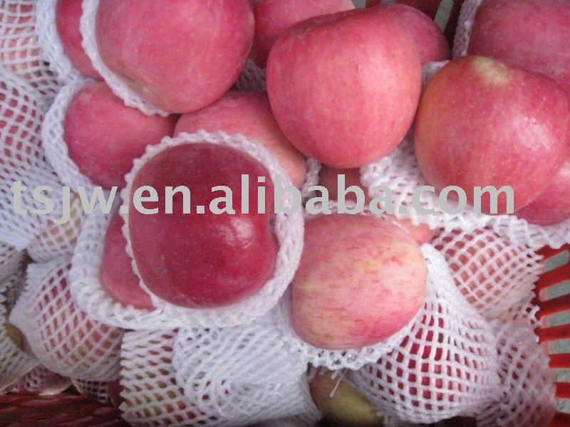Red Fresh Fuji apple Fruit
