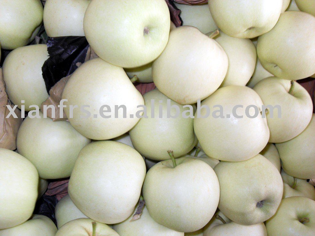 fresh apple