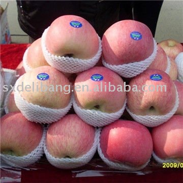 chinese fresh red fuji  apple fruit