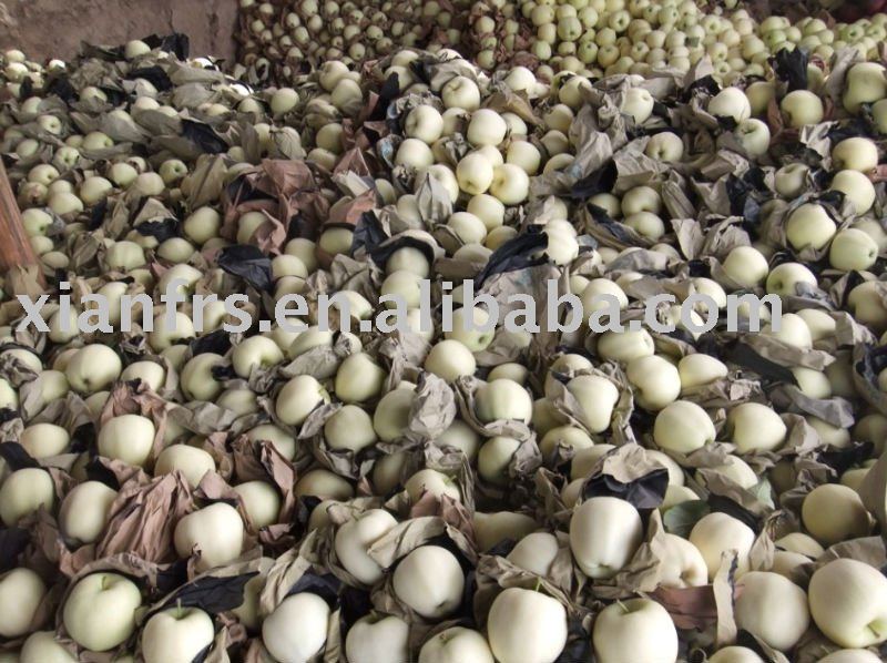 Chinese Golden Apple