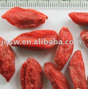 frozen dried wild goji berry