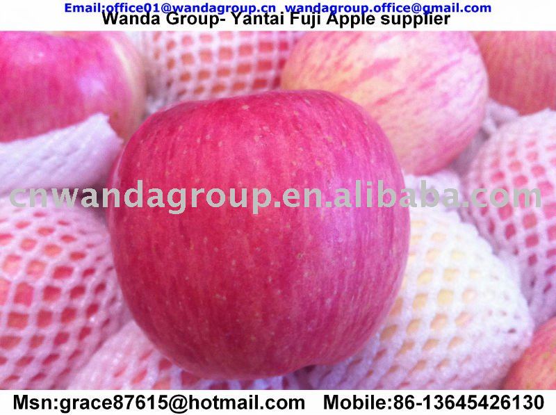 100/113/125/138 Yantai fresh red Fuji apple for Indian/Middle East Market