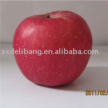 red  shaanxi   fuji   apple 
