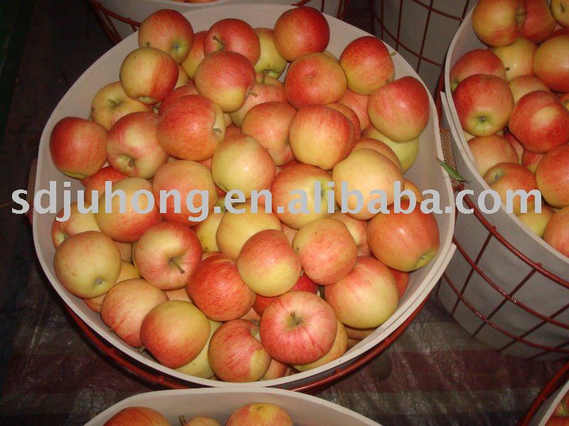 Fresh Gala Apple