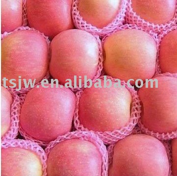 blush red Fuji apple fruit