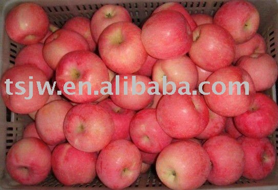  blush   red   Fuji   apple 