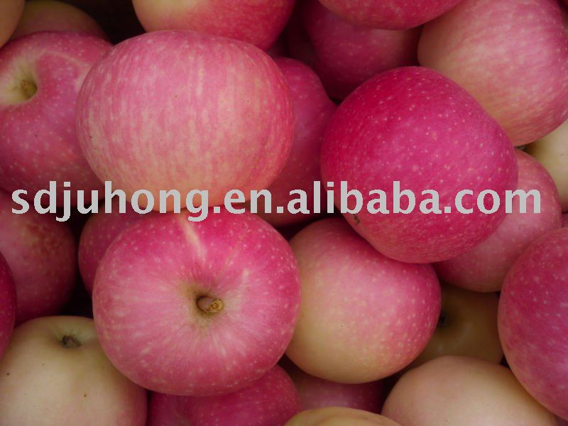 Fresh Red Gala Apple