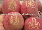 Delicious Red Fuji Apple