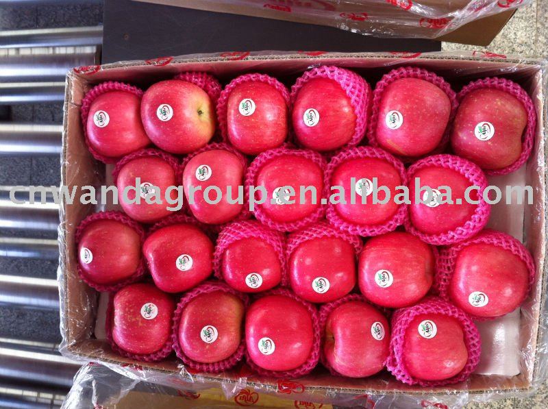 100/113/125 Chinese Yantai fresh red Fuji apple direct supplier