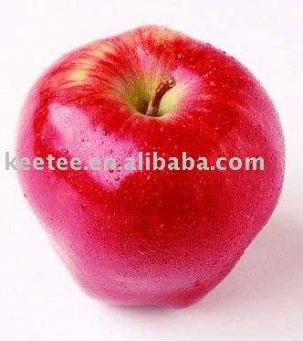 2010 top chinese fresh juicy red fuji apple wholesaler