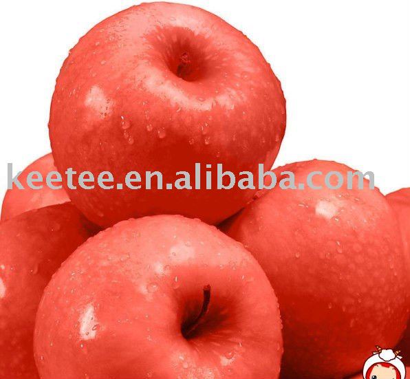 2010 top quality juicy chineses fresh red fuji apple
