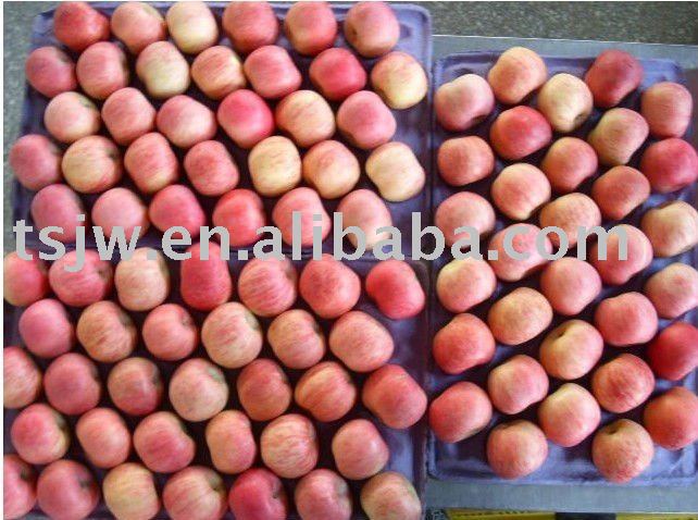 red fuji apple