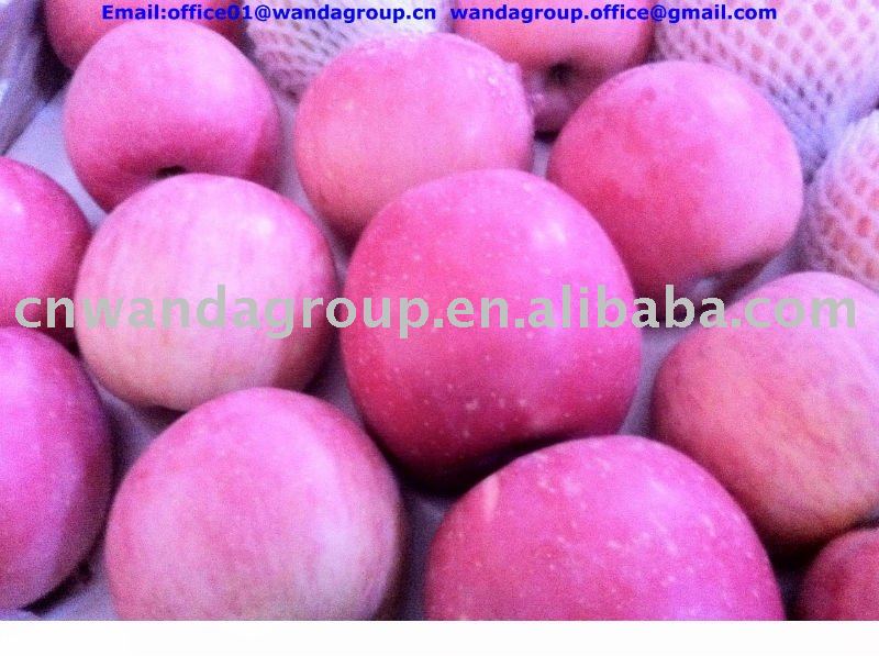 Chinese Yantai Qixia fresh red Fuji apple direct supplier