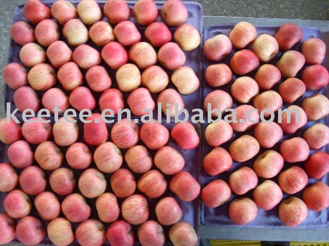juicy crispy sweet fresh Chinese red fuji apple