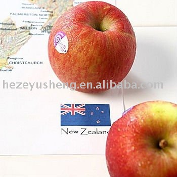 Fresh Fuji Apple approved by HACCP