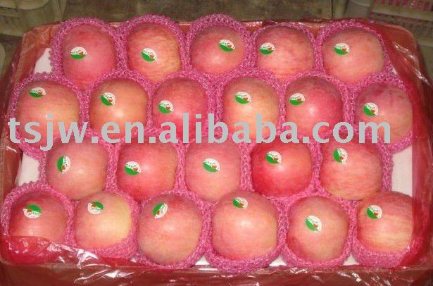 red fresh Fuji apple