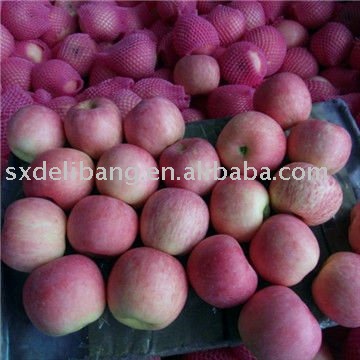 Chinese Fresh red  fuji  apple