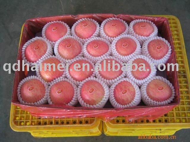 fresh fuji  apple   factory  price