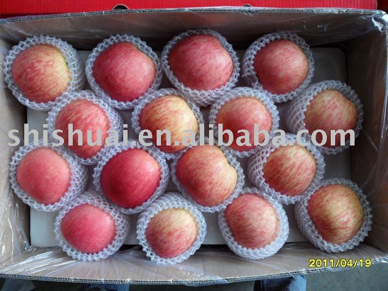 fuji apple-delicious and red