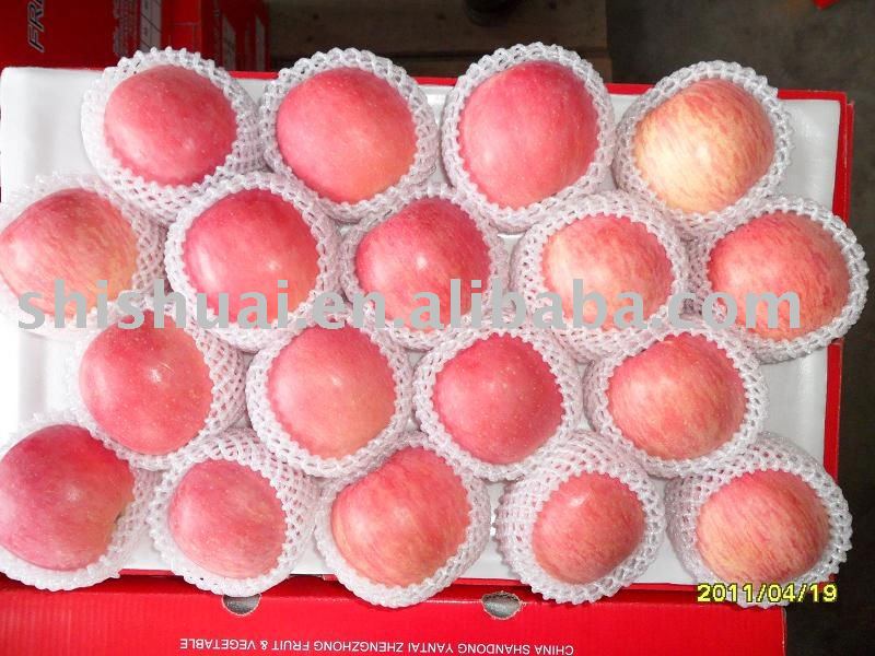 chinese fresh red fuji apples