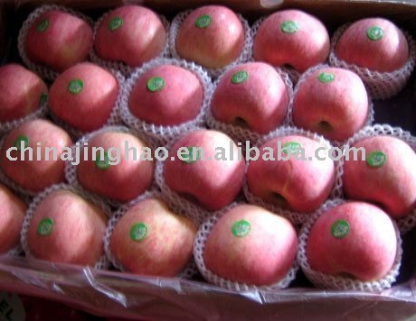 Red Fresh Fuji  Apple