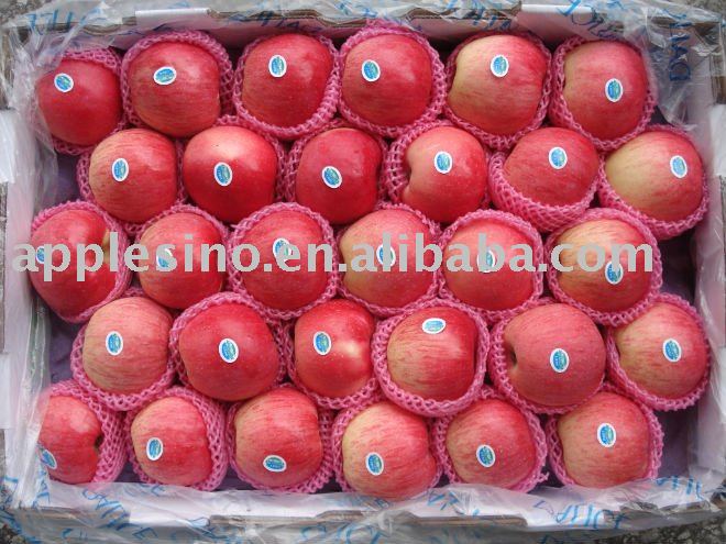  Fresh   Yantai   Apple s