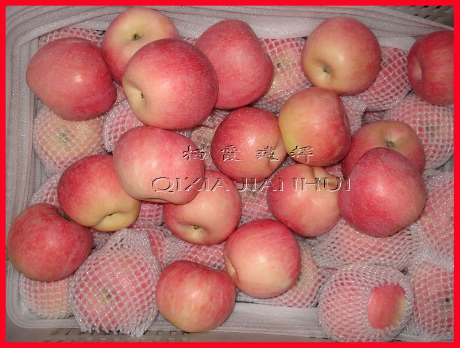 2010  new   crop   Red   Fuji   apple  of big size and various packing