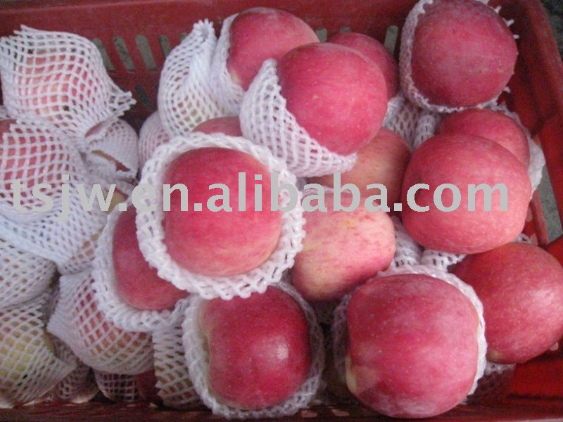 Full blush red Fuji apple