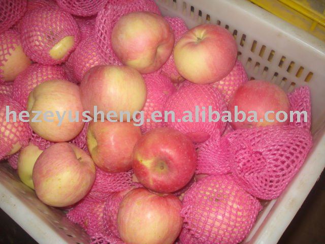 red fresh China fuji apple in carton