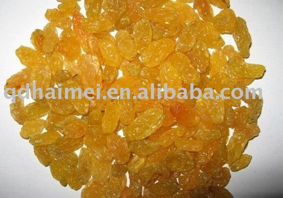 sweet golden raisin,China Haimei price supplier - 21food