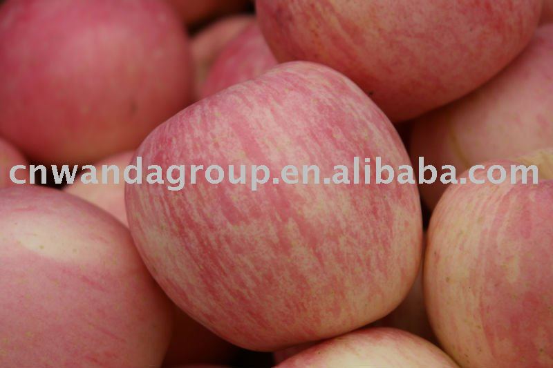2011 Chinese Yantai fresh red Fuji apple